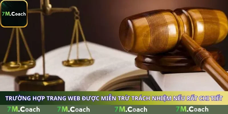 Trường hợp trang web được miễn trừ trách nhiệm nếu rất chi tiết Trường hợp trang web được miễn trừ trách nhiệm nếu rất chi tiết