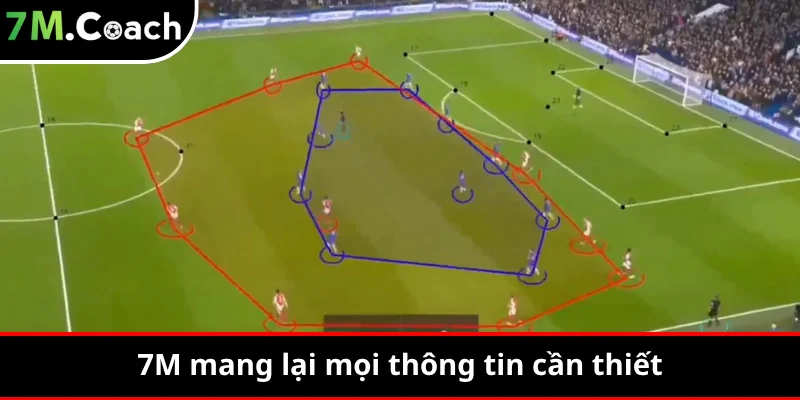 7M mang lại mọi thông tin cần thiết