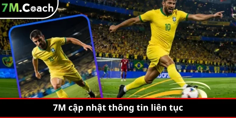 7M cập nhật thông tin liên tục